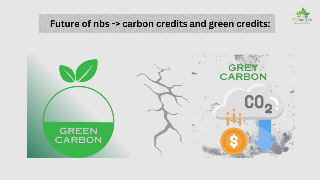 Future of NbS -> carbon credits and green credits: - Terracon Ecotech