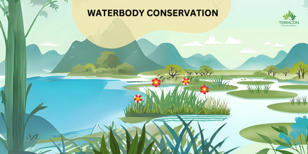 Wetland conservation is crucial for preserving water quality, preventing flooding, and providing habitats for aquatic species.