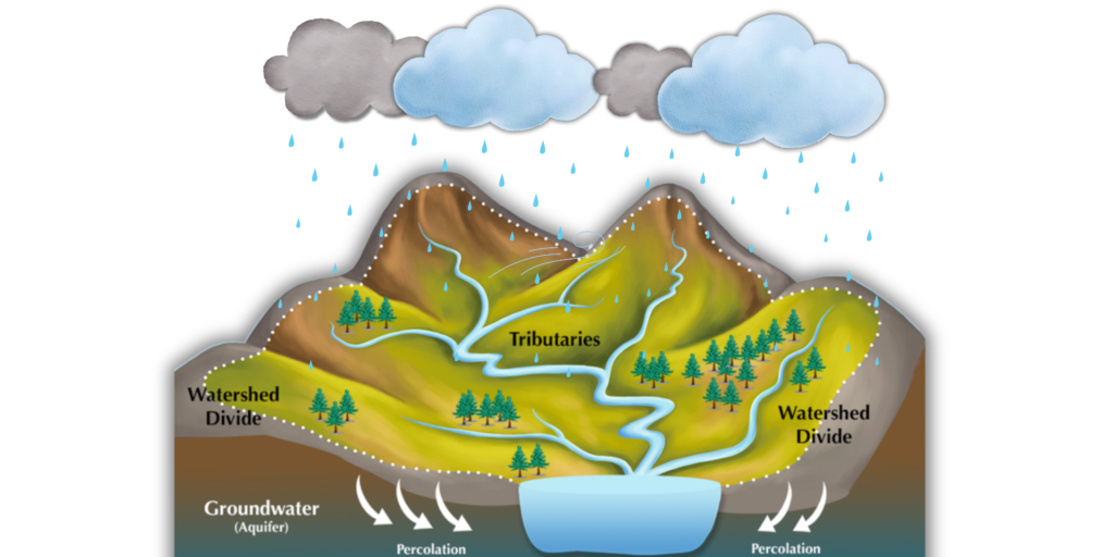 A picturesque view of a watershed, featuring a river winding through greenery, supporting various ecosystems and wildlife.
