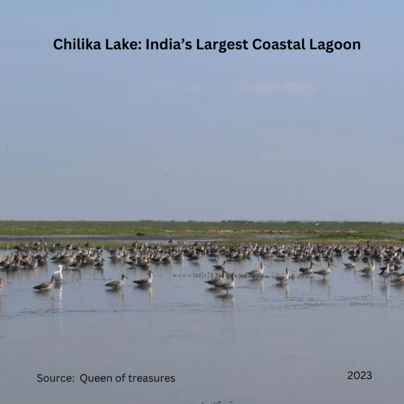 1. Restoration project in Chilika Lake enhances water quality and biodiversity by re-establishing natural habitats in India's largest lagoon.
