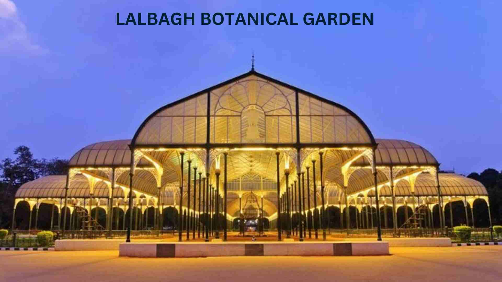  A serene evening view of a botanical garden, showcasing lush greenery and soft lighting under a twilight sky.