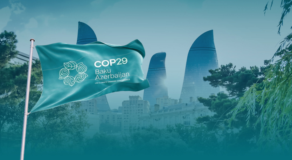 COP29 Banner 